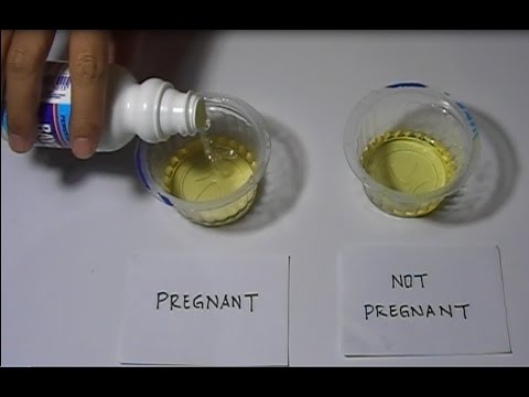 Home Test For Pregnancy