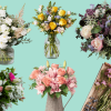 Top 6 Premium Affordable Flowers to Choose From