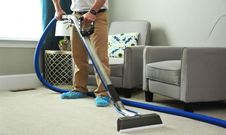 Why You Should Be Cleaning Your Carpets More Than You Do