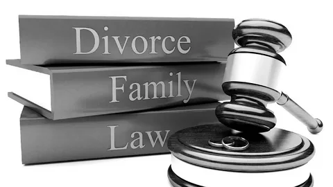 Family Lawyer