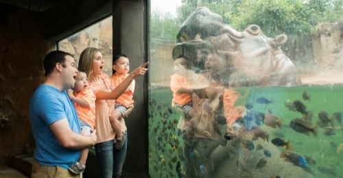 things to do in San Antonio with kids