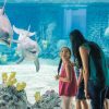 Things to do in San Antonio with kids: Top Activities for the Whole Family
