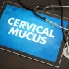 Discharge Before Period Vs Early Pregnancy: Cervical Mucus Indication