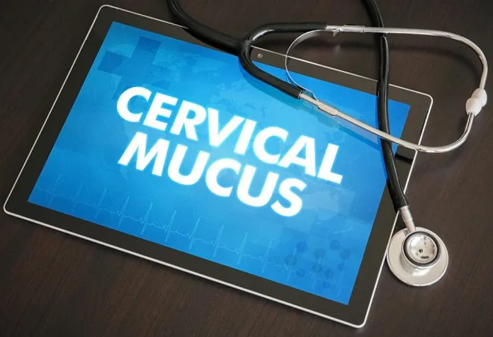 cervical mucus