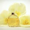 What are the unique fragrance notes used in perfumes?