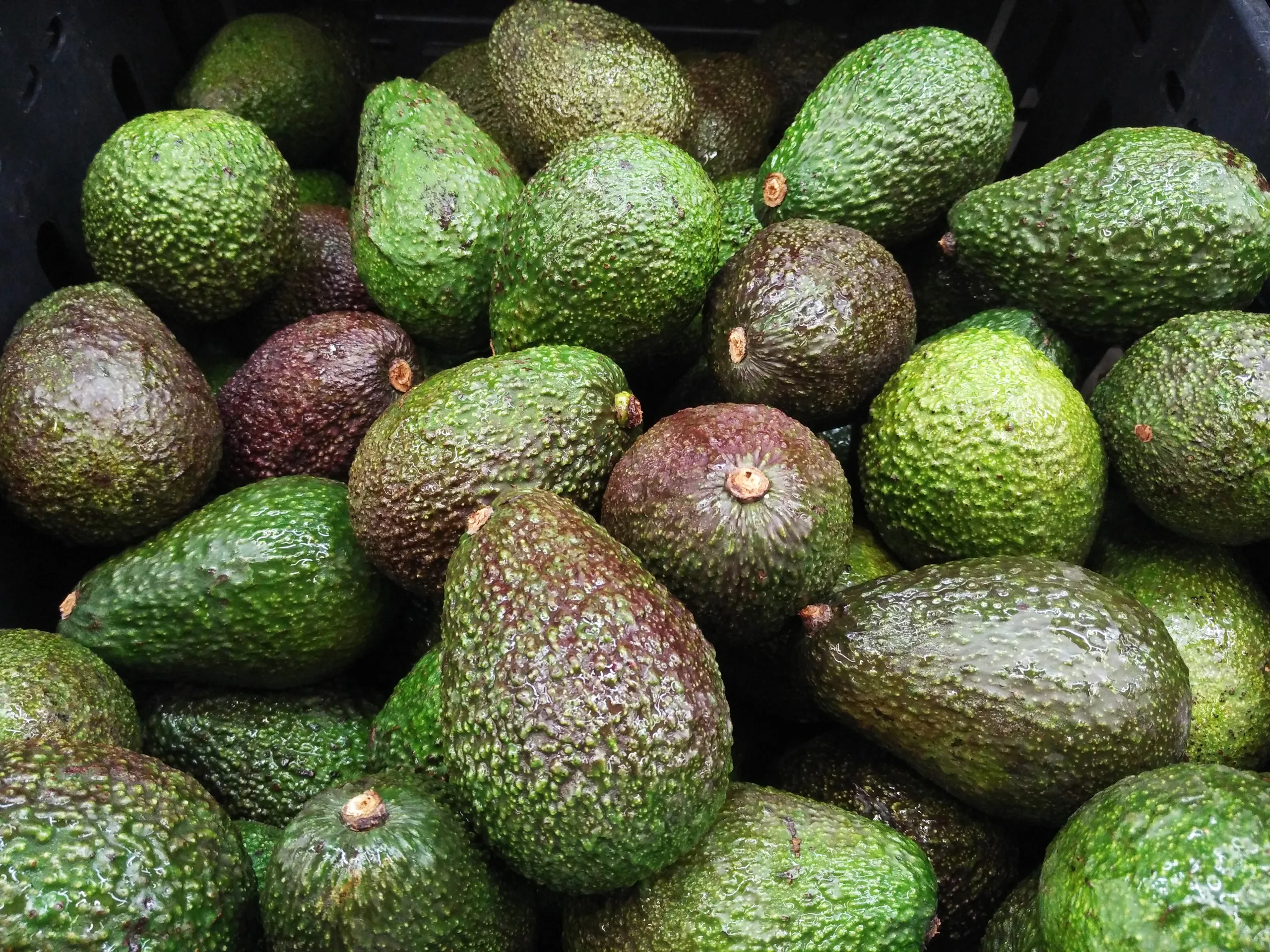 General health benefits of avocados that impact your sex life!