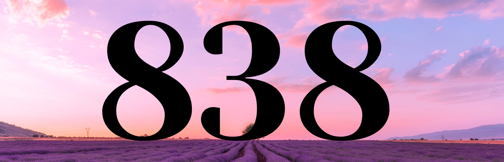 How is witnessing the 838 angel number associated with morality?