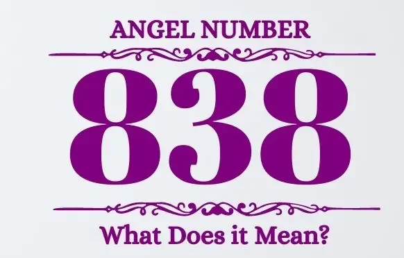 Financial Meaning of the Angle Number 838