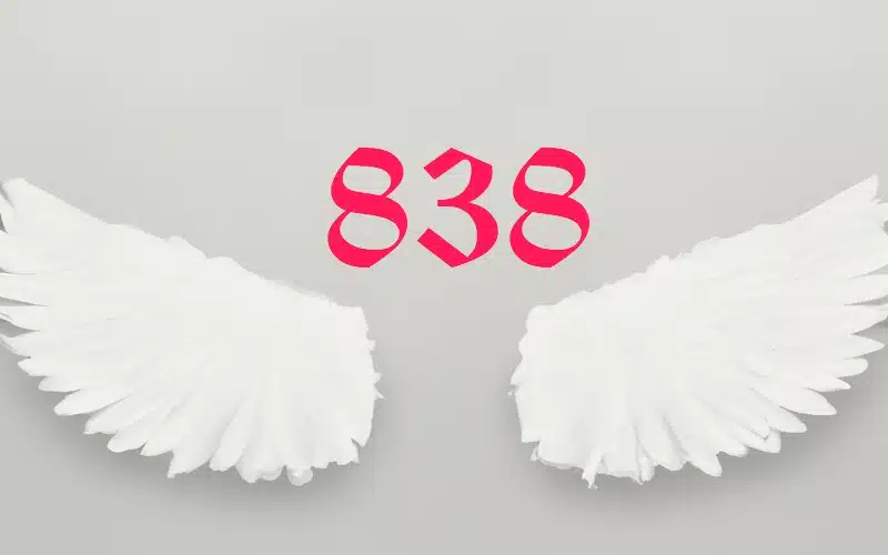 The Meaning Of 838 Angle Number in Career